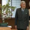 韩国立法者不会为日本皇帝的言论道歉
