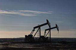 由于美国原油库存产量和出口增加 油价下跌20美分收于56.96美元