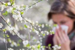 专家说 花粉症警告一个月前温暖的天气带来了树木花粉