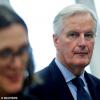 欧盟准备向英国提供更多英国脱欧担保 Barnier