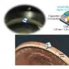 世界上最小的光学植入式生物设备