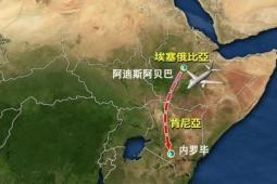 狮子撞车后 埃塞俄比亚航空飞行员获得了更多737次最大训练