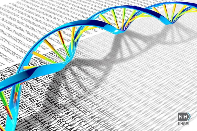 通过DNA测序预测新生儿的遗传性疾病可能是可能的研究人员