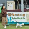 康文署开放辖下六个公园市民可携带宠物入内散步同乐