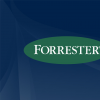 Forrester的2019年首席信息官预测减少