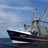 欧盟渔业的失败危及小型渔业社区的可持续性