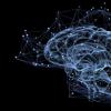 大脑启发的AI激发了对大脑的洞察力
