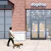 Dogdrop正在推出一个狗狗日托以迎接Wag Hotels