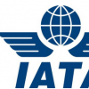 国际航空运输协会说商务旅行需求持续增长