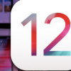 一键式FaceTime相机翻转将返回iOS12.1.1