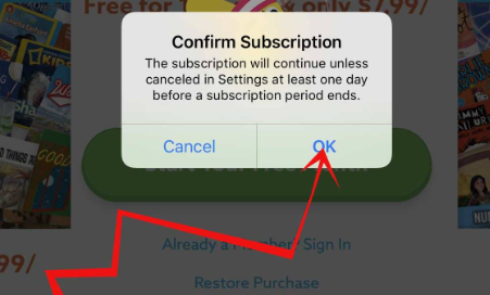 新的苹果应用内确认订阅按钮正在播放