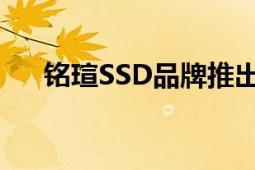 铭瑄SSD品牌推出首款产品巨无霸系列