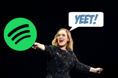 如何取消您的Spotify帐户