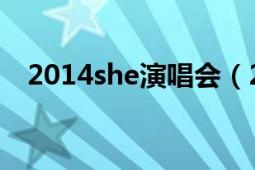 2014she演唱会（2013SHE北京演唱会）