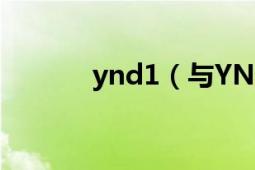 ynd1（与YNd11有什么区别）