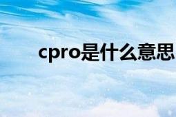 cpro是什么意思（cpro是什么意思）