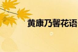 黄康乃馨花语（它代表了什么）