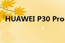 HUAWEI P30 Pro（HUAWEI P30 Pro）