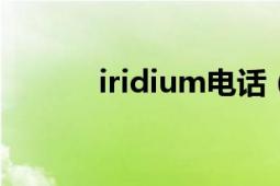 iridium电话（Iridium 9555）