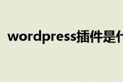 wordpress插件是什么（wordpress插件）