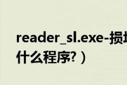 reader_sl.exe-损坏文件（reader-sl.exe是什么程序?）