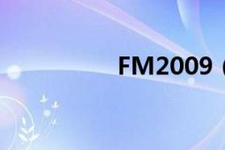 FM2009（930修改器）
