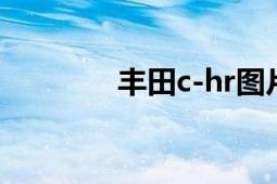 丰田c-hr图片（丰田C-HR）