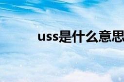uss是什么意思（USS 英文缩写）