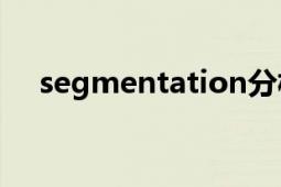 segmentation分析（Segmentation）