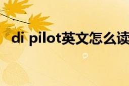 di pilot英文怎么读（dipilot英语怎么读）