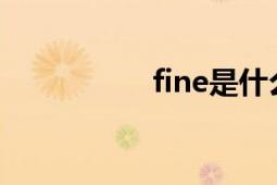 fine是什么意思（fin）