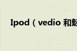 Ipod（vedio 和魅族M6哪个好一点啊）
