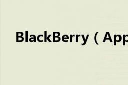 BlackBerry（App World是做什么的?）