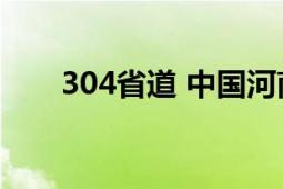 304省道 中国河南省境内的道路编号