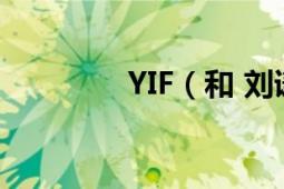 YIF（和 刘谦 你更喜欢谁）