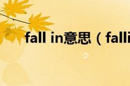 fall in意思（fallinout中文什么意思）
