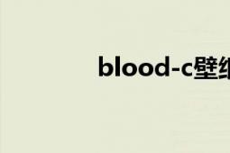 blood-c壁纸（BLOOD-C）