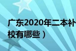 广东2020年二本补录学校（广东省2b补录学校有哪些）
