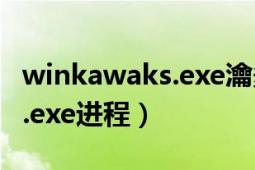winkawaks.exe瀹夎鏁欑▼（WinKawaks.exe进程）