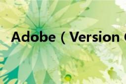 Adobe（Version Cue CS4这个是什么?）