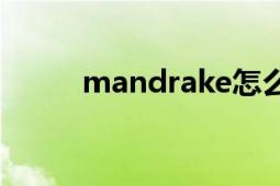 mandrake怎么读（Mandrake）