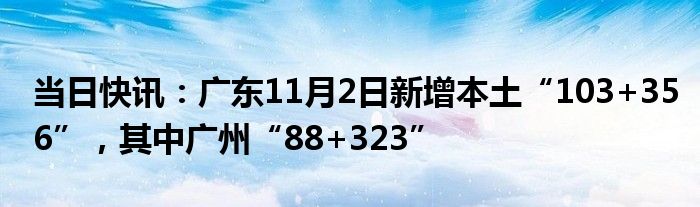当日快讯：广东11月2日新增本土“103+356”，其中广州“88+323”